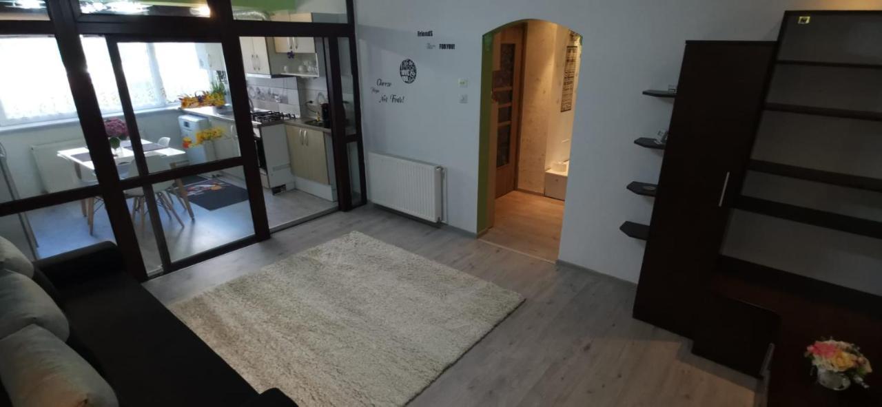 Ana Lux Apartments Брашов Екстериор снимка
