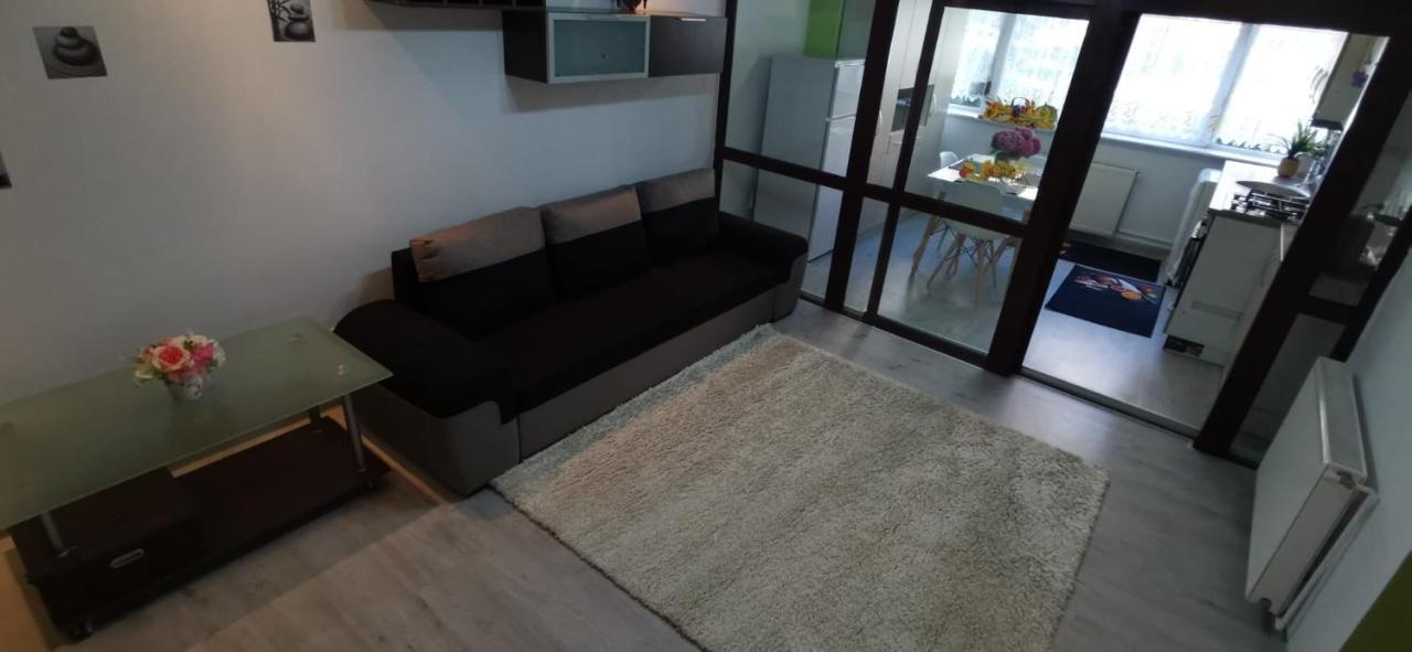 Ana Lux Apartments Брашов Екстериор снимка